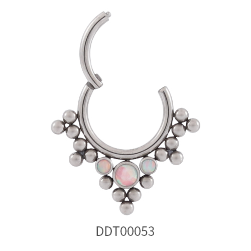 Titanium Segment Ring Clicker 