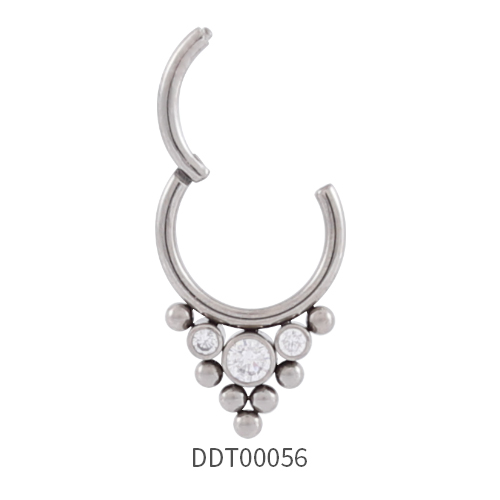 Titanium Segment Ring Clicker 