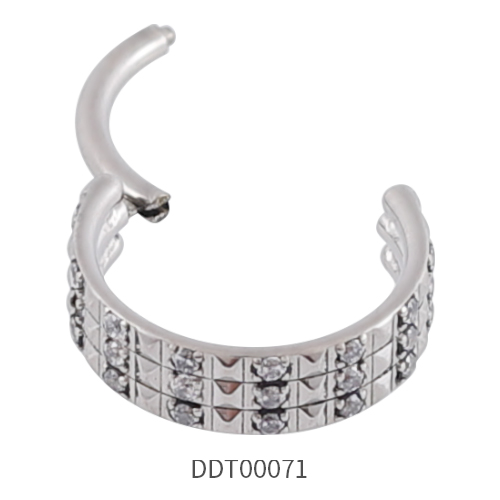 Titanium Segment Ring Clicker 