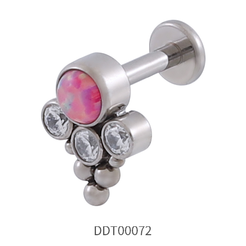 Titanium Stud Earring