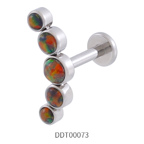 Titanium Stud Earring