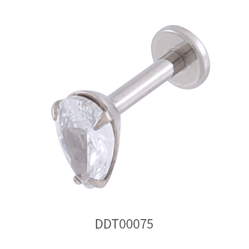 Titanium Stud Earring