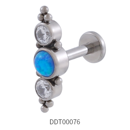 Titanium Stud Earring