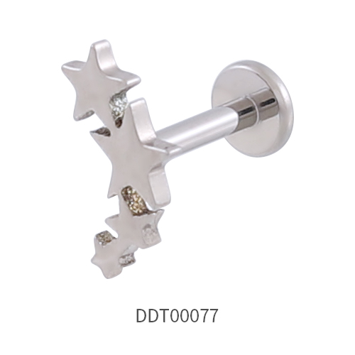 Titanium Stud Earring