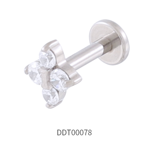 Titanium Stud Earring