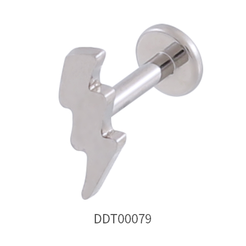 Titanium Stud Earring