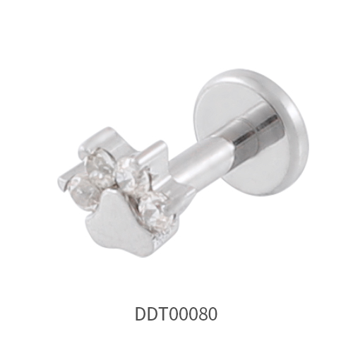 Titanium Stud Earring