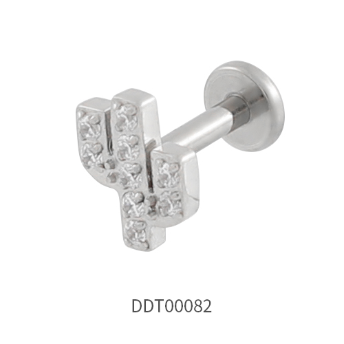 Titanium Stud Earring