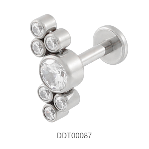 Titanium Stud Earring