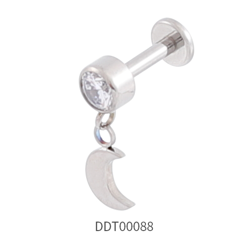 Titanium Stud Earring