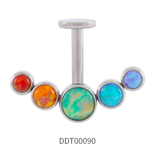 Titanium Stud Earring